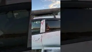 Воры на рыбалке. Будьте осторожны. Сырдарья Мехнат. 
