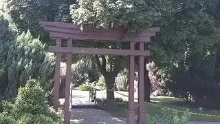 Парк вечно зелёных растений, и просто очень красивое место