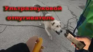 Отпугиватель собак  Действует ли он?