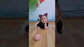 Свято Кошенят