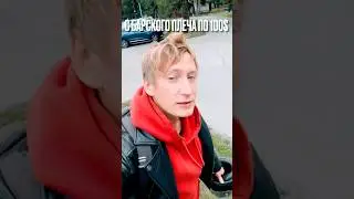 100$ С БАРСКОГО ПЛЕЧА пострадавшим КУРЯНАМ