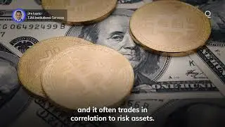 Is Bitcoin a Dollar Hedge or a Risk Asset? | Presented by CME Group