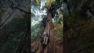 #garrapatastatepark