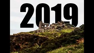 2019