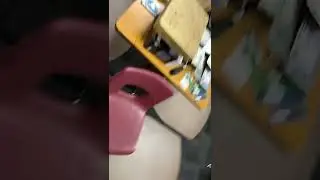 The shop