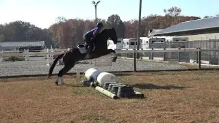 Gentleman Logan 2nd ride field and jumps 10 30 24