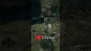 Elden Ring but we are MELTING bosses! Full video on my channel!
