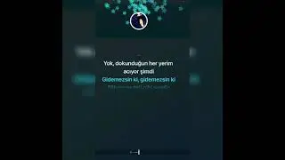 Taner Kaya- Ayrılsak ölürüz biz(karaoke)