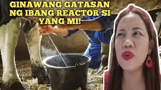 Yang Mi  ginawang gatasan ng mga reactor?