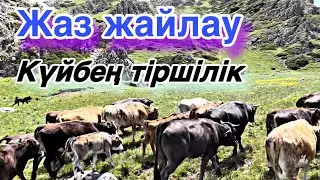 Шаруашылыққа шолу, жаздың жайдарлы күндері!