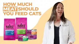 How Much Meat Should You Feed Your Cat? (Vet Explains)