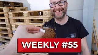 Was ist FlashTEX? Und wer hat die Kokosnuss geklaut? - Weekly 