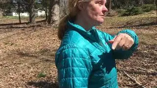 Property Walkabout