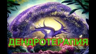ДЕРЕВОТЕРАПИЯ ДЕНДРОТЕРАПИЯ TREE THERAPY