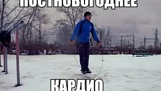 Кроссфит по-русски. Выпуск 5: Постновогоднее кардио (Или как я кидаю жир через бедро)