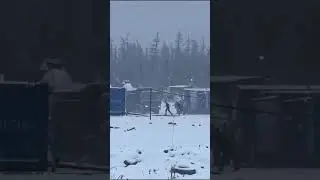 Атака медведя на вахтовиков.