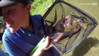 Local Waterways – How to Save the Planet at Home
