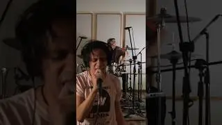 Jacarandas live in Mexico City! 