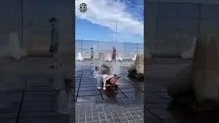 Funny short videos😂 🤣 #shortvideo