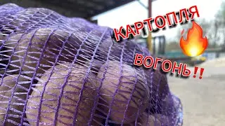 ПРОДАЄМО‼️як від серця відриваємо😥