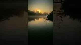 Осень на реке Березине #природа #березина #длядуши