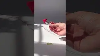 Заинтересовало? Просто поставь лайк, и мне уже будет приятно❤️