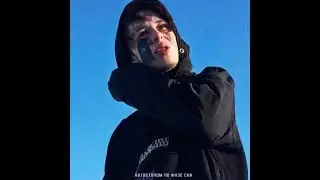 Я твоя сука