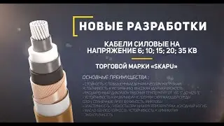 ООО 