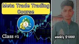 Meta Trade 5 Tutorial For Beginners | Meta Trade 5 Tutorial | Meta Trade Withdrawal Money | Class #1