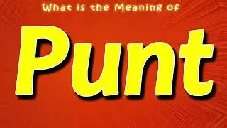 What is the Meaning of Punt