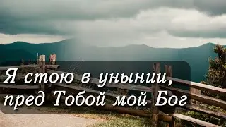 Утешительная песня 
