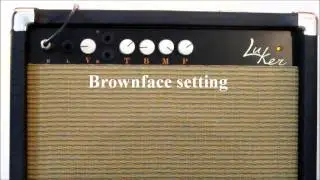 Tour the Luker Tiger 20watt guitar Amplifier