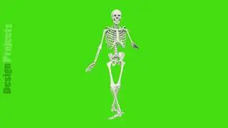 Skeleton dancing. Seamless loop animation on green screen.