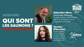 [REPLAY] Qui sont les saumons ? 25 avril 2024