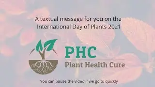 A message for you on International Day of Plant Health 2021