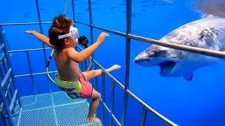 L'enfant est tombé dans la cage à requin et...