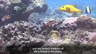 Ocean Literacy Summary