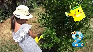 Сумасшедшие каникулы у бабушки в Италии ЖИВУ ДЕРЕВЕНСКОЙ ЖИЗНЬЮ 24 ЧАСА Гранатовое дерево