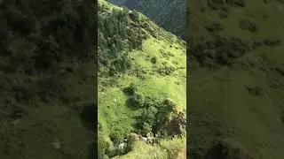 Dartlo historic towers - Tusheti mountains