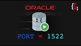 Resolved Oracle ERROR: The network adapter could not establish the connection
