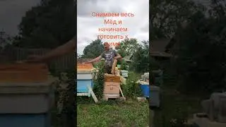 Летние зарисовки. Воспоминания о лете. 