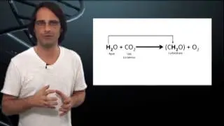 Biologia: Fotossíntese, Perpectivas Históricas e a Evolução do Conceito