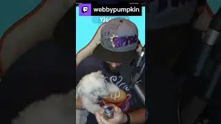 Sub-a-thon was a hit and Mochi loved the eggs! | webbypumpkin on 