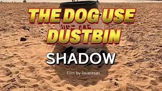 Social awareness, Short Film#20241mintshort filmWastageShort Film #dogusethedustbin shadow
