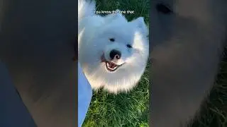 Bestfriend furever 