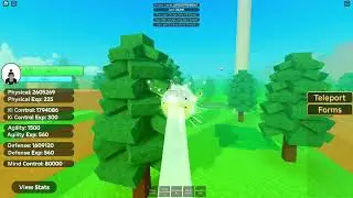 Why Shenron Wishes AREN'T Worth It | Roblox Dragon Ball Legendary Forces