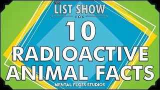10 Facts about the Animals of Chernobyl | Mental Floss