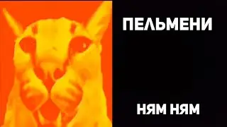 Шлёпе дали: