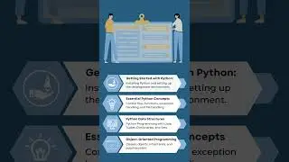A Roadmap for Python Beginners: Navigating Your Path to Python Proficiency 