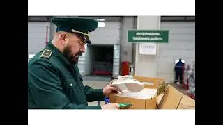 October 25 is Customs Day of the Russian Federation.